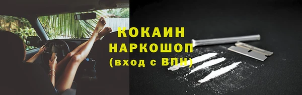 дмт Богородицк