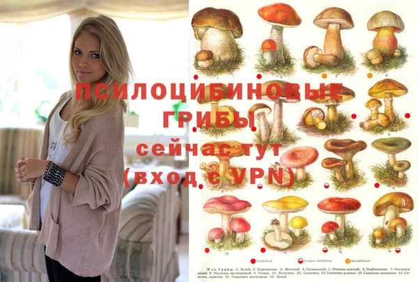 мефедрон мука Богданович