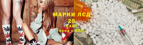 дмт Богородицк
