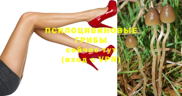 дмт Богородицк